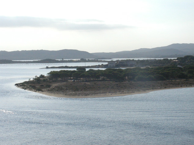 p9250691.jpg