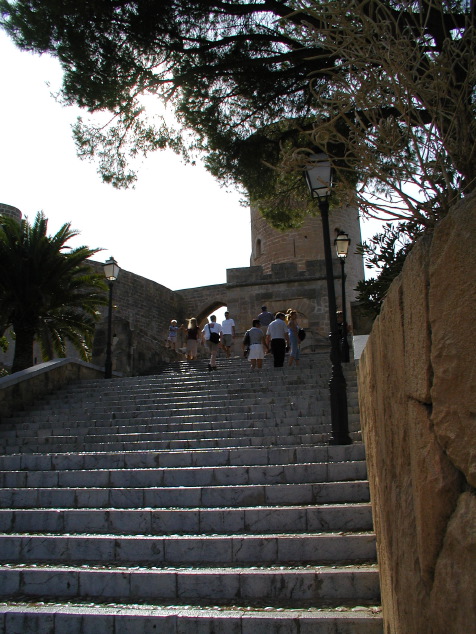 p9130331.jpg